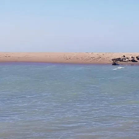L Hyppo Camp' Bed and breakfast Oye-Plage