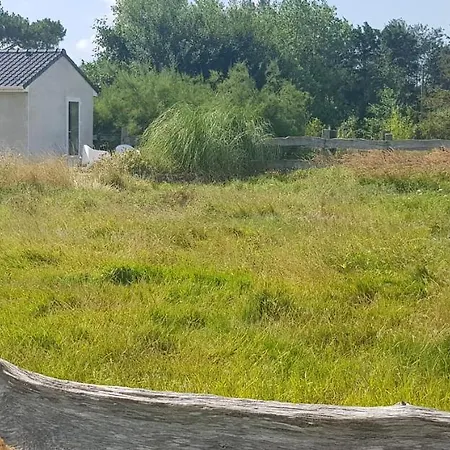 L Hyppo Camp' Oye-Plage